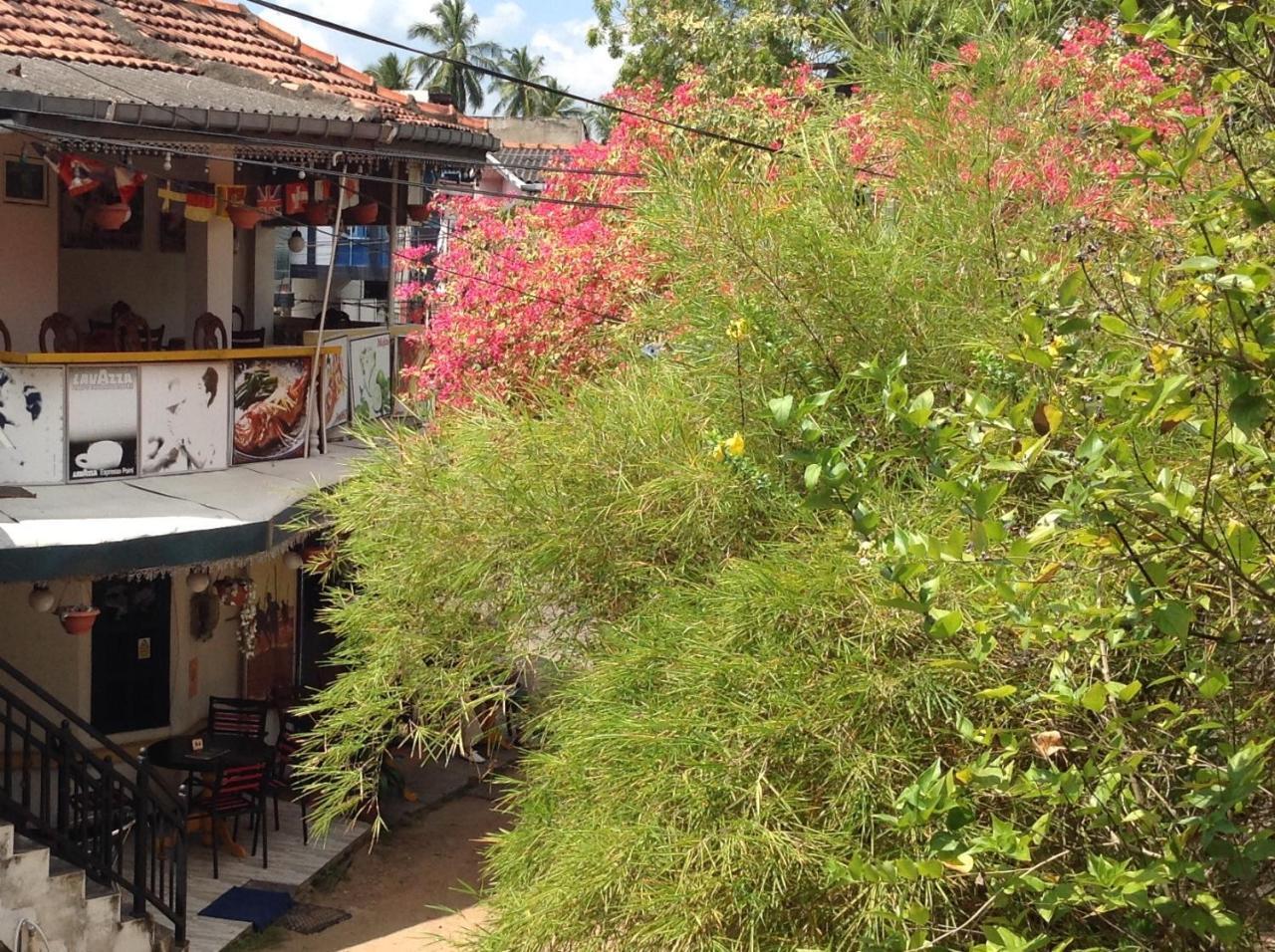 Saman Homestay Tangalle Dış mekan fotoğraf